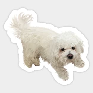 Bichon Frise Dog Sticker